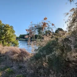 Rio Grande Riverwalk - Eagle Pass