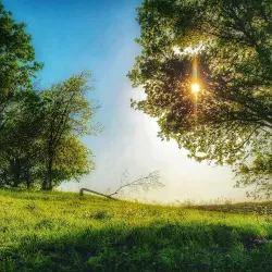 Downtown Forney - Forney