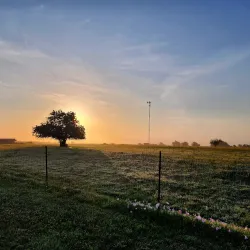Lakeside Park - Forney