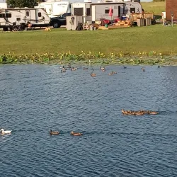 Lakeside Park - Forney