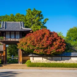 Fort Worth Botanic Garden - Fort Worth