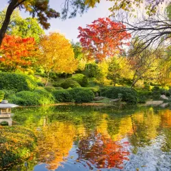 Fort Worth Botanic Garden - Fort Worth