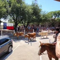 Fort Worth Stockyards National Historic District - Fort Worth