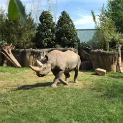 Fort Worth Zoo - Fort Worth