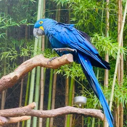 Fort Worth Zoo - Fort Worth