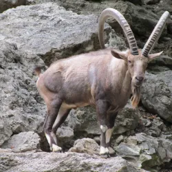 Fort Worth Zoo - Fort Worth