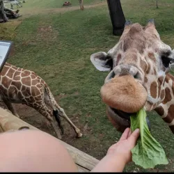 Fort Worth Zoo - Fort Worth