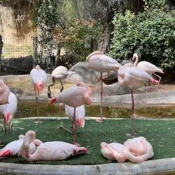 Fort Worth Zoo - Fort Worth