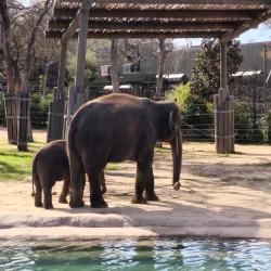 Fort Worth Zoo - Fort Worth
