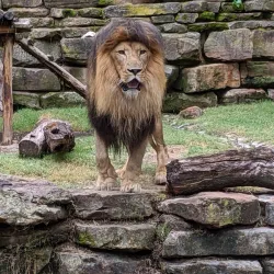 Fort Worth Zoo - Fort Worth