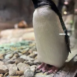 Fort Worth Zoo - Fort Worth