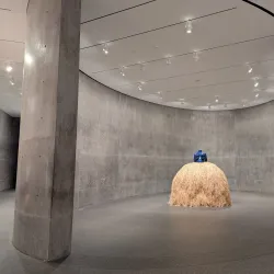 Modern Art Museum of Fort Worth - Fort Worth