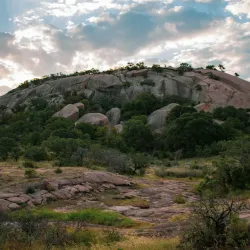Enchanted Rock State Natural Area - Fredericksburg