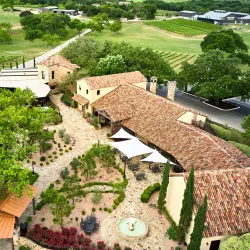 Grape Creek Vineyards - Fredericksburg