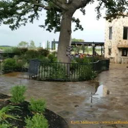 Grape Creek Vineyards - Fredericksburg