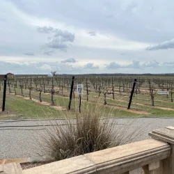 Grape Creek Vineyards - Fredericksburg