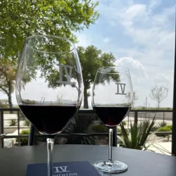 Grape Creek Vineyards - Fredericksburg