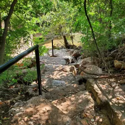 Lady Bird Johnson Municipal Park - Fredericksburg
