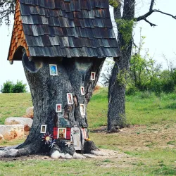 Lady Bird Johnson Municipal Park - Fredericksburg