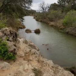Lady Bird Johnson Municipal Park - Fredericksburg