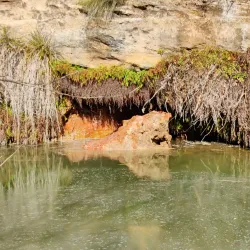 Lady Bird Johnson Municipal Park - Fredericksburg