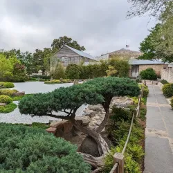 National Museum of the Pacific War - Fredericksburg