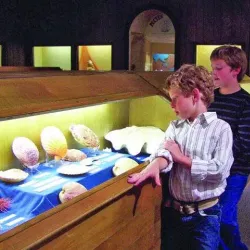 Brazosport Center for the Arts & Sciences - Freeport