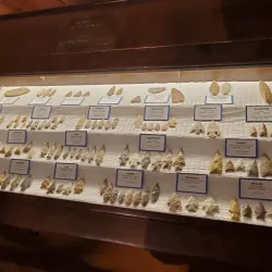 Brazosport Museum of Natural Science - Freeport