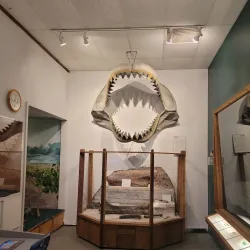 Brazosport Museum of Natural Science - Freeport