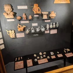 Brazosport Museum of Natural Science - Freeport