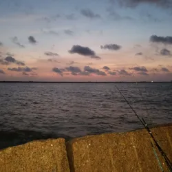 Downtown Freeport - Freeport