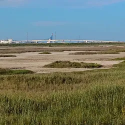 Downtown Freeport - Freeport