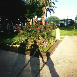 Freeport Municipal Park - Freeport