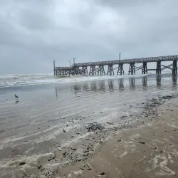 Quintana Beach County Park - Freeport