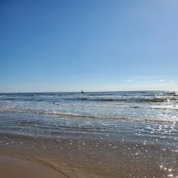 Quintana Beach County Park - Freeport