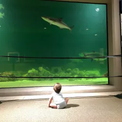 Sea Center Texas - Freeport