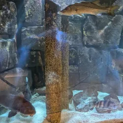 Sea Center Texas - Freeport