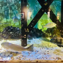 Sea Center Texas - Freeport