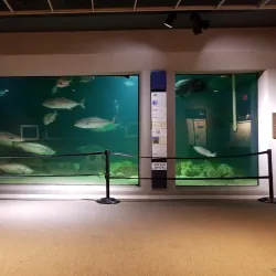 Sea Center Texas - Freeport