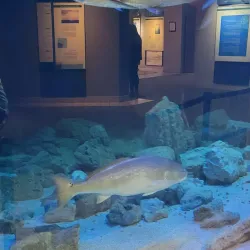 Sea Center Texas - Freeport