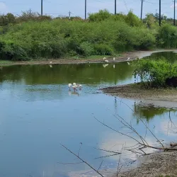 Sea Center Texas - Freeport