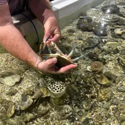 Sea Center Texas - Freeport