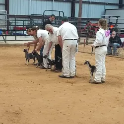 Cooke County Fairgrounds - Gainesville