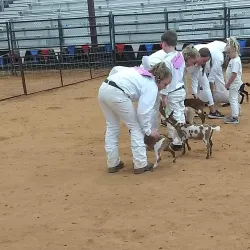 Cooke County Fairgrounds - Gainesville
