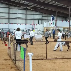 Cooke County Fairgrounds - Gainesville