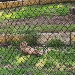 Frank Buck Zoo - Gainesville