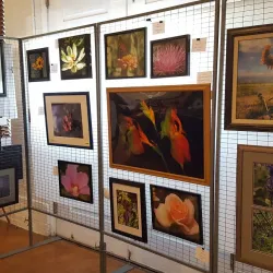 Hester House Museum - Gainesville