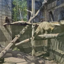 Leonard Park - Gainesville