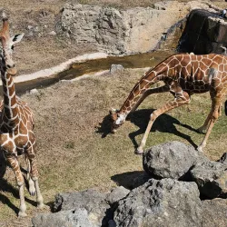 Leonard Park - Gainesville
