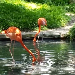 Leonard Park - Gainesville